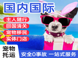 禄口航空快运国际宠物托运 【国